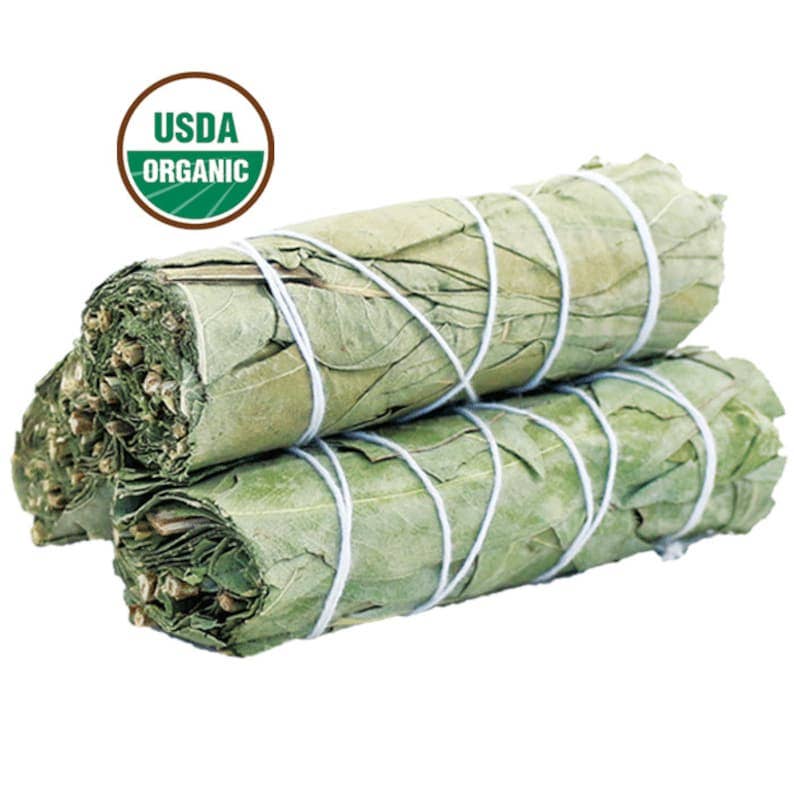 Eucalyptus Sage Smudge Stick (4 in.)