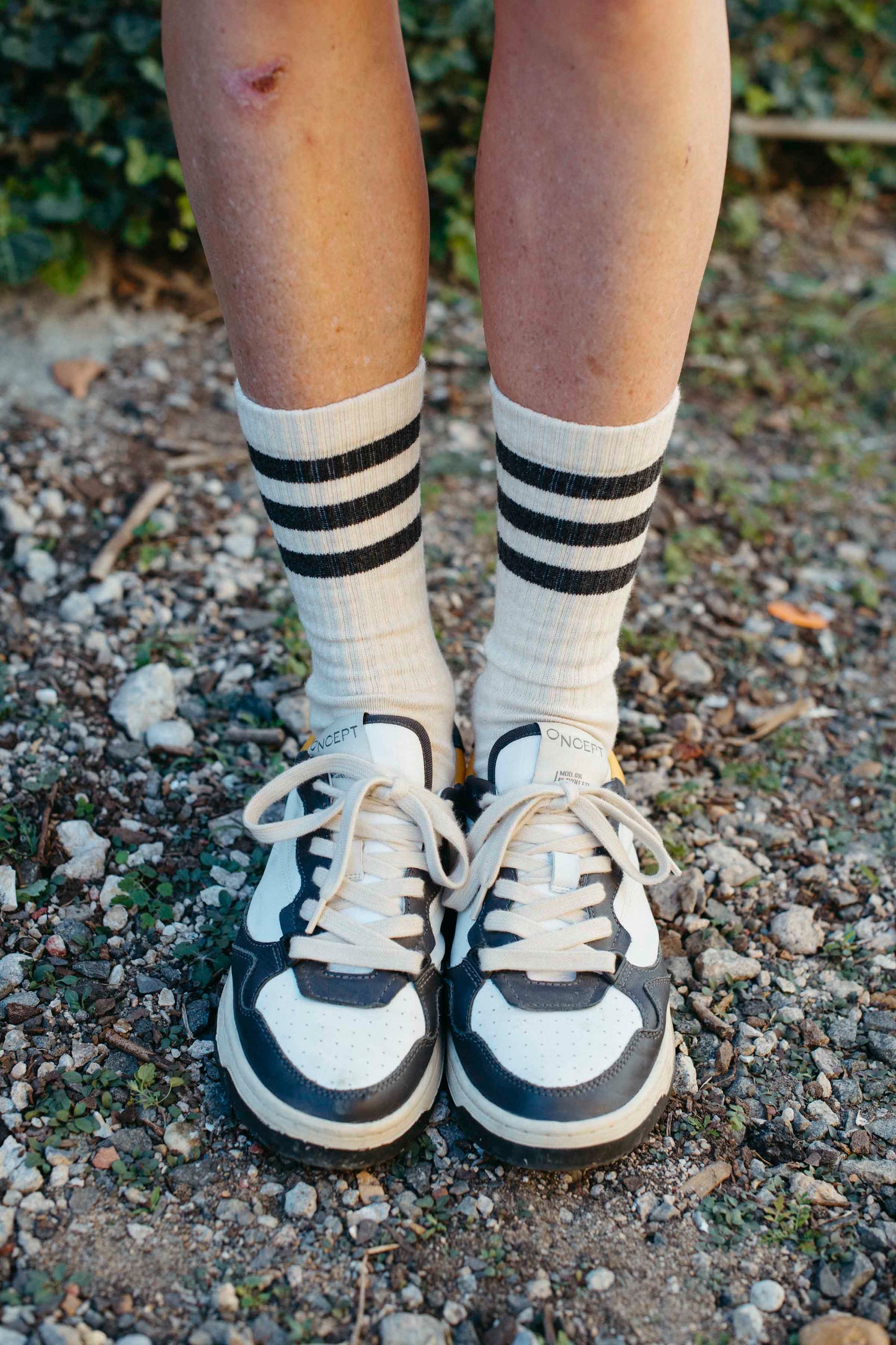 Heather Stripes Socks - Cream/Charcoal