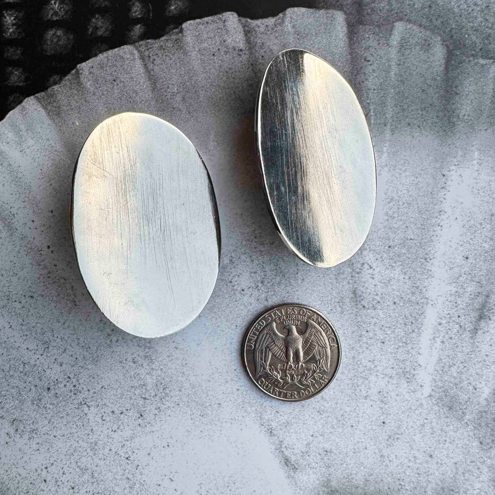 
                      
                        Brushed Silver Oval Clip-On Earrings
                      
                    